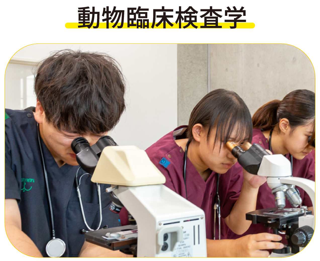 動物臨床検査学