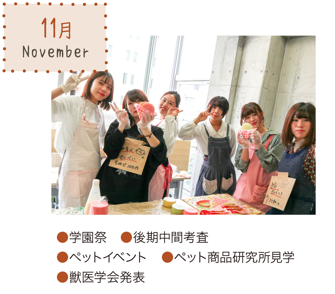 11月