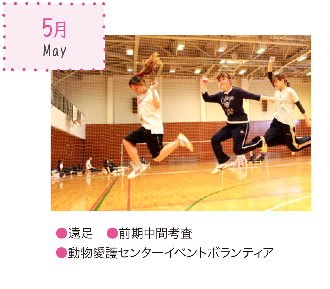 5月