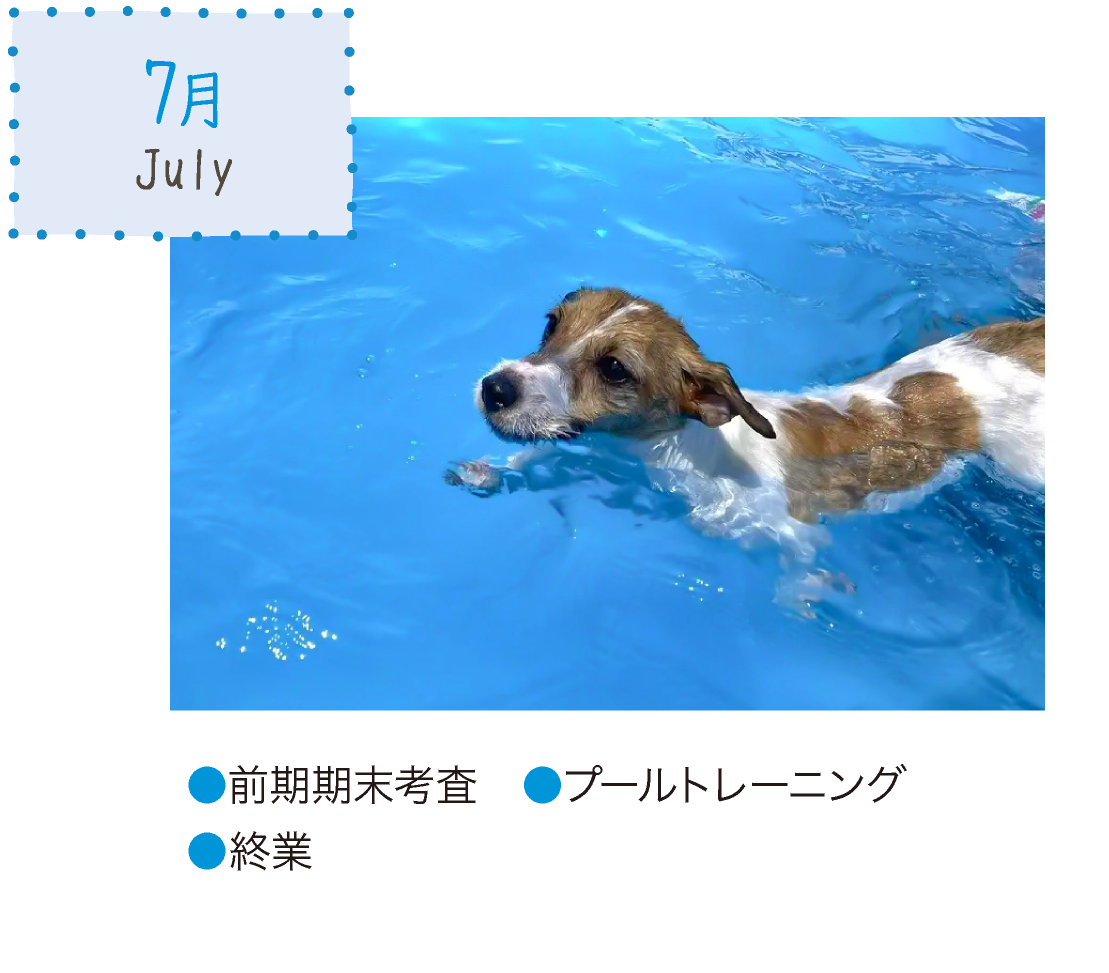 7月